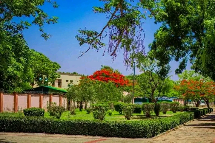 6 Reasons Why ABU Zaria Is One of the Best Universities in Nigeria
